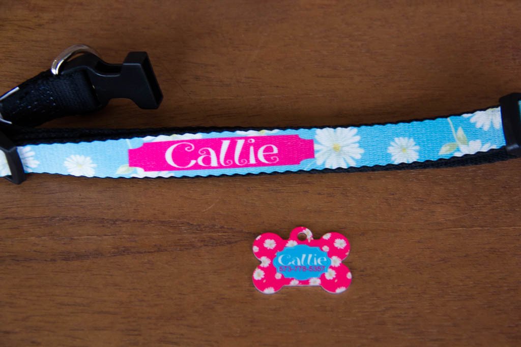 Lilly Pulitzer Inspired Dog Collar w/ Name (Collection 2)