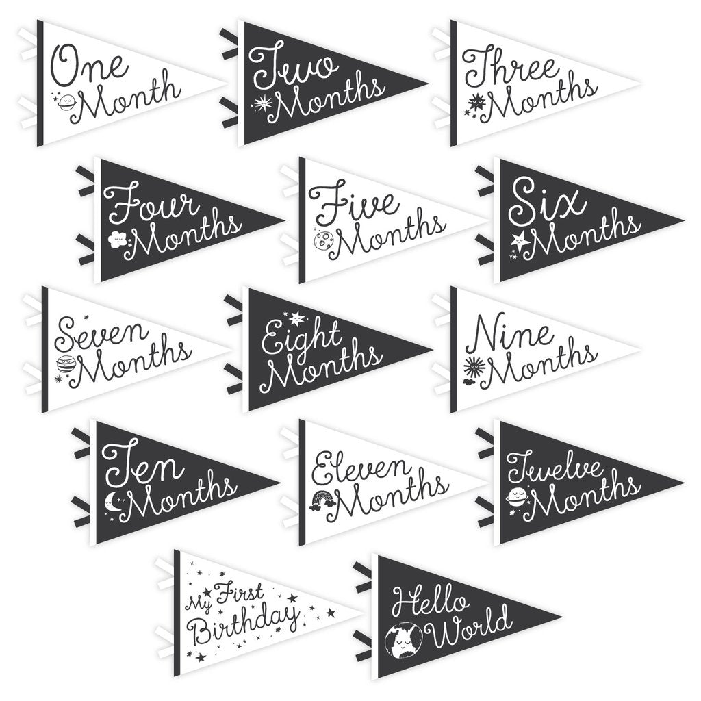 Little Artist | Camper | Kaleidoscope | Stargazer Petit Milestone Pennants